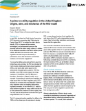 A Primer on Utility Regulation in the United Kingdom: Origins, Aims, and Mechanics of the RIIO Model