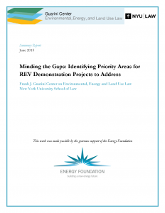 Minding the Gaps: Identifying Priority Areas for REV Demonstration Projects to Address