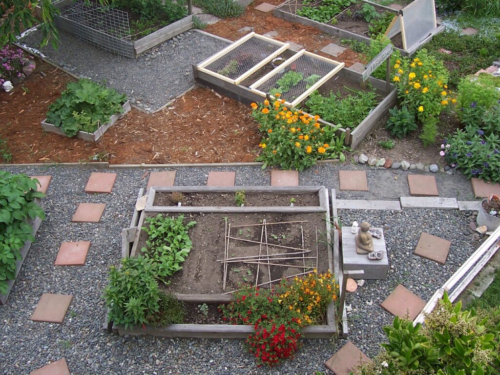 garden, urban farming, organic-509550.jpg