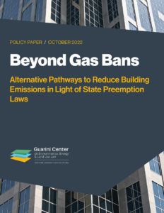 Beyond Gas Bans: Alternative Pathways to Reduce Building Emissions in Light of State Preemption Laws