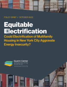 Equitable Electrification: Could City and State Policies Aggravate Energy Insecurity?
