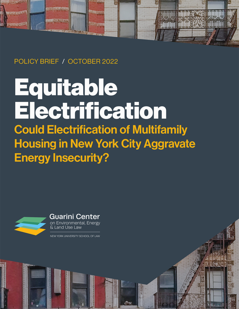 Equitable Electrification: Could City and State Policies Aggravate ...