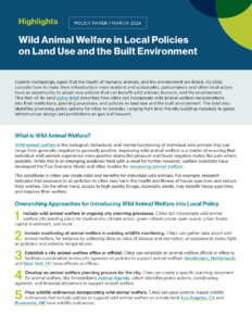 Wild Animal Welfare in Local Policies on Land Use and the Built Environment: Highlights